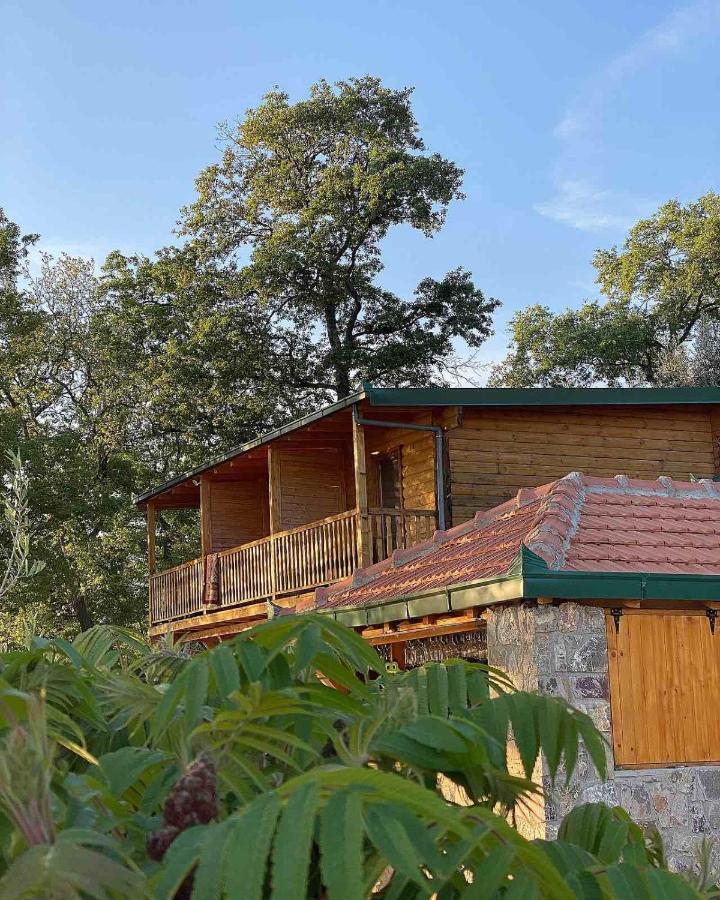 Daire Ranc Mujica Bar